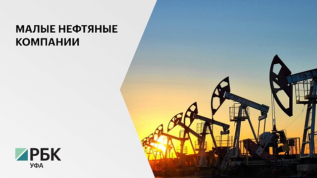 В РБ к 2025 году малые нефтяные компании рассчитывают добывать до 1 миллиона тонн нефти в год