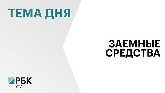 С начала 2023 г. субъекты МСП Башкортостана получили льготных кредитов почти на ₽20 млрд