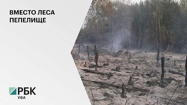 За последние сутки в Башкортостане возникло два новых очага лесных пожаров