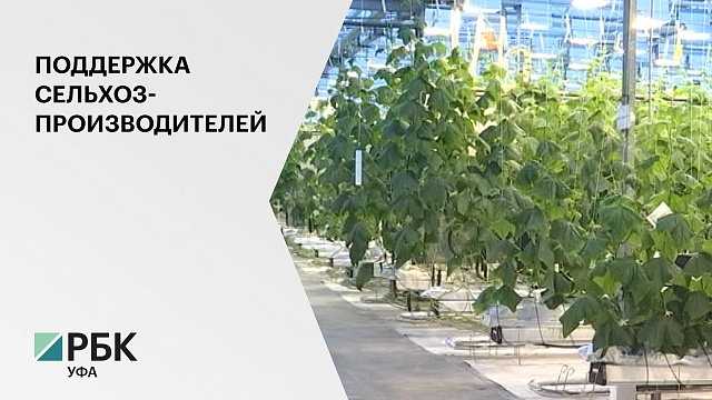 Депутаты Госсобрания приняли закон о поддержке органического сельского хозяйства в РБ