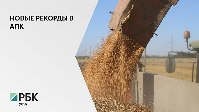 4 млн тонн составил валовый сбор зерна в РБ в 2020 году