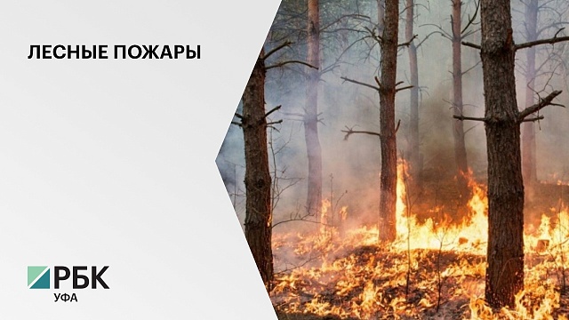 Вторые сутки тушат крупный лесной пожар в Белорецке