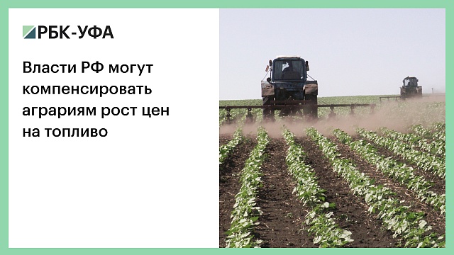 Власти РФ могут компенсировать аграриям рост цен на топливо
