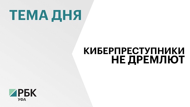 В 2023 г. кибермошенники похитили у жителей Башкортостана ₽3 млрд