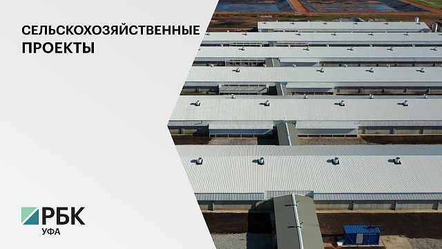 Компания "Таврос" завершила строительство в д. Шаровка откормочной площадки на 35 тыс. голов свиней