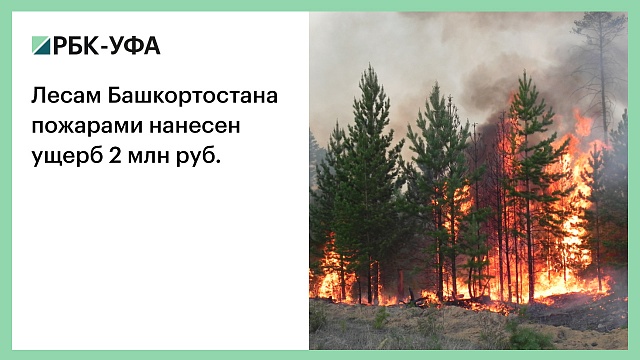 Лесам Башкортостана пожарами нанесен ущерб 2 млн руб.