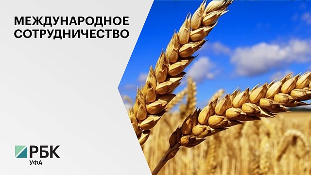 С начала 2022 г. из РБ экспортировали более 86 тыс.тонн зерна в 12 стран