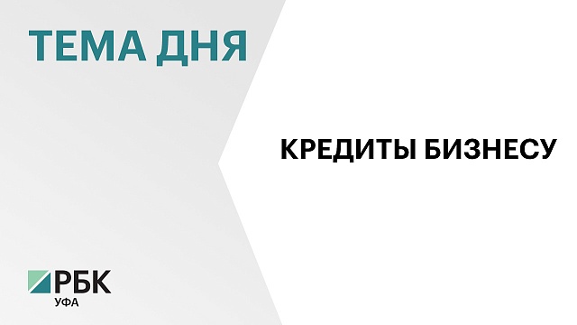 Малый и средний бизнес в Башкортостане в январе привлек кредиты на ₽17,6 млрд