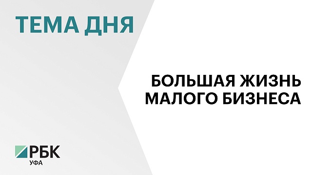 Башкортостан входит в топ-10 регионов по абсолютному приросту занятых в МСП