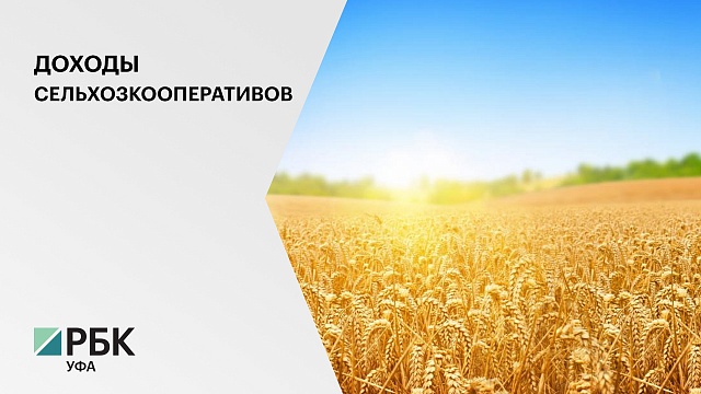 До 2 млрд руб. могут вырасти доходы сельхозкооперативов РБ в 2021 году