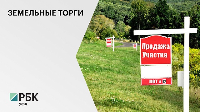 "ДОМ.РФ" объявила торги по продаже участка 48,6 га в д. Начапкино для жилищного строительства