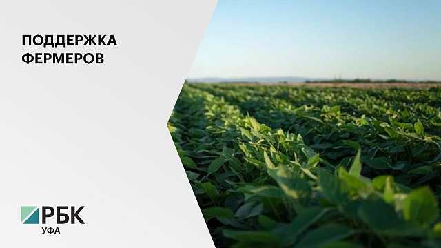 125 млн руб. выделят власти РБ на поддержку фермеров и сельхозкооперативов в 2021 году