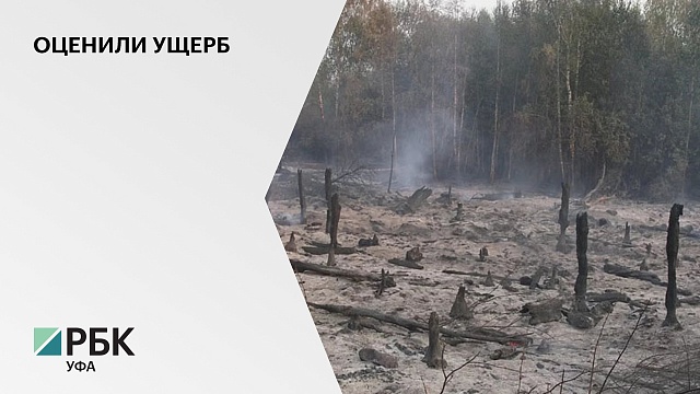 Ущерб от лесных пожаров в Башкортостане составил ₽21 млн