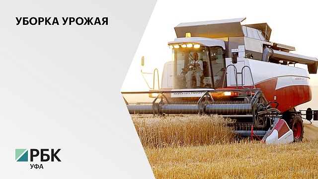 Аграрии РБ уже собрали первые 30 тыс. тонн зерна