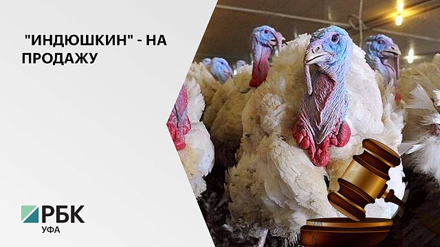 Активы Башкирского птицеводческого комплекса им. М.Гафури выставляют на торги в четвертый раз