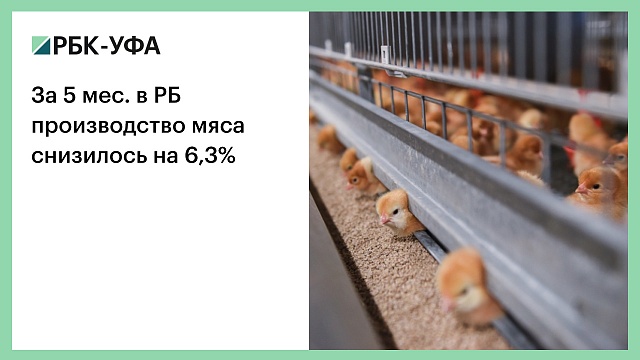 За 5 мес. в РБ производство мяса снизилось на 6,3%