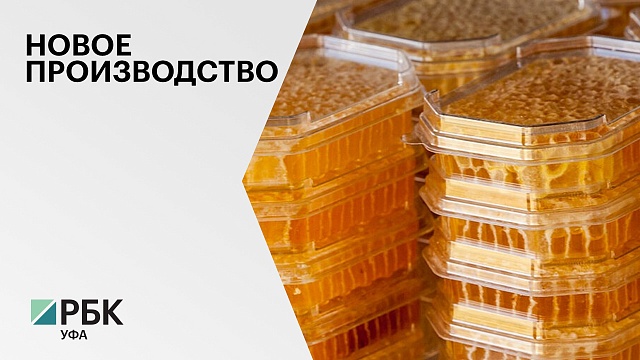 В РБ инвестор вложит в создание производства по переработке продукции пчеловодства ₽617 млн 