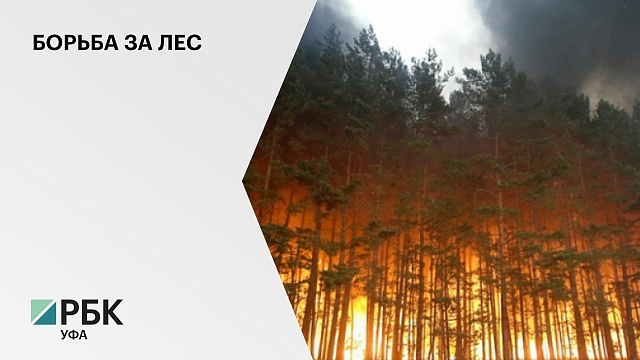 В Башкортостане за последние сутки возникло 9 новых лесных пожаров