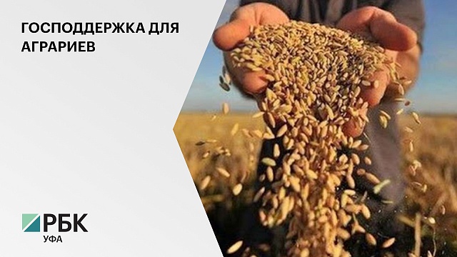 Аграриям РБ компенсируют ₽620 млн затрат на производство и реализацию зерна