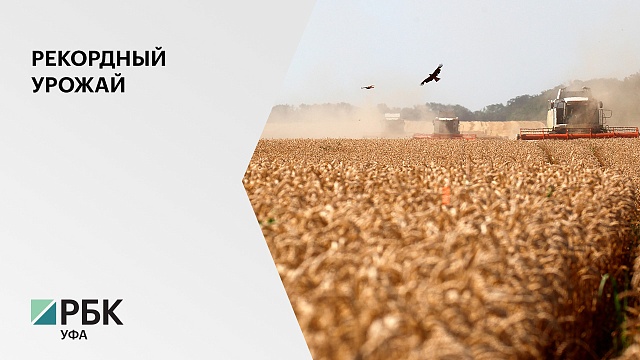 Более 4 миллионов тонн зерна аграрии Башкортостана ожидают собрать в 2020 г.