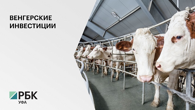 Крупнейшая сельхозкомпания Венгрии вложит в производство молока в РБ 6,2 млрд руб.