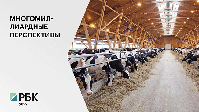 В молочной отрасли РБ в 2020 г. реализуют 9 инвестпроектов - на 23 млрд руб.