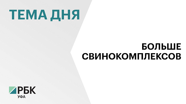 В Башкортостане производство свинины выросло почти в 1,5 раза за 6 лет