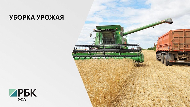 Аграрии РБ собрали 3,7 млн тонн зерна с 91% сельхозугодий