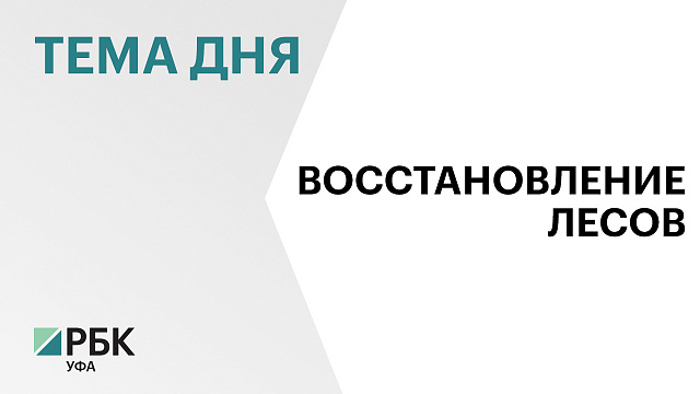 Лесные питомники Башкортостана ждет модернизация