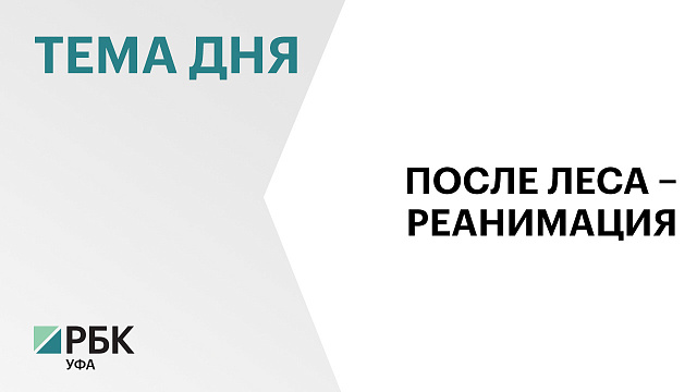 В республике истребят медведей, напавших на людей в Баймакском и Бурзянском районах