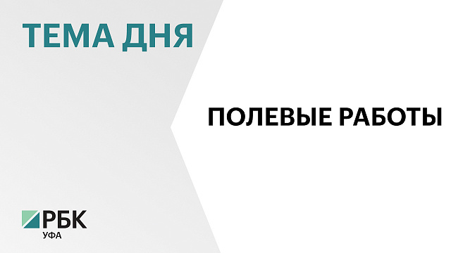 Общий зерновой клин в Башкортостане превысит 1,4 млн га