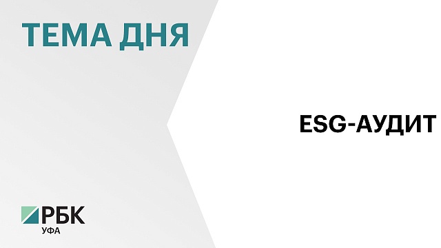 В 2024 г. Счётная палата России провела аудит государственных мер, направленных на стимулирование ответственного ведения бизнеса 