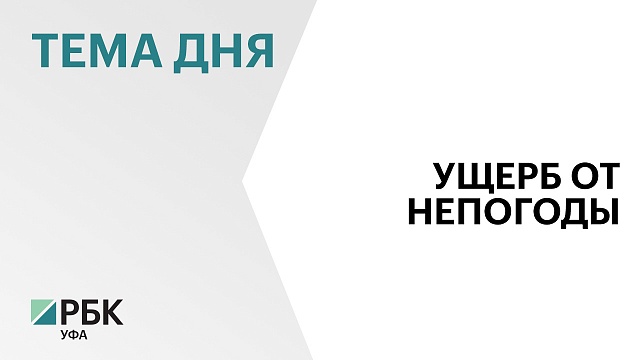 Ущерб от гибели сельхозкультур в РБ после длительных дождей и переувлажнения почвы достиг ₽2,4 млрд