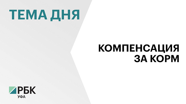 С 2026 года инвалидам по зрению планируют оплачивать корм для собак-проводник