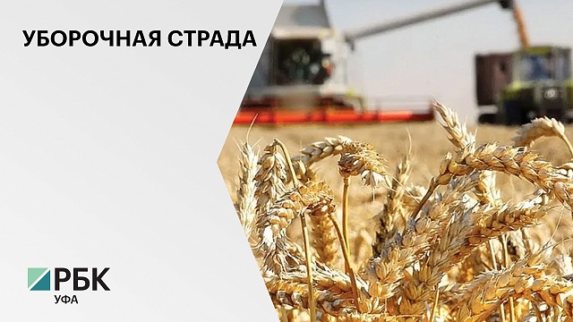 Россия может сократить план экспорта зерна за рубеж, но внутренний рынок обеспечит полностью