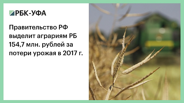 Правительство РФ выделит аграриям РБ 154,7 млн. рублей за потери урожая в 2017 г.