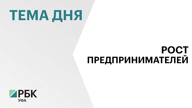 Количество субъектов МСП в Башкортостане к июлю 2024 г. выросло на 5%