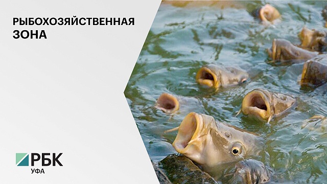 В Башкортостане создадут рыбохозяйственные заповедные зоны