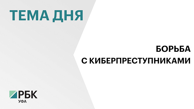 Депутаты Госсобрания Башкортостана предлагают ужесточить наказание за киберпреступление