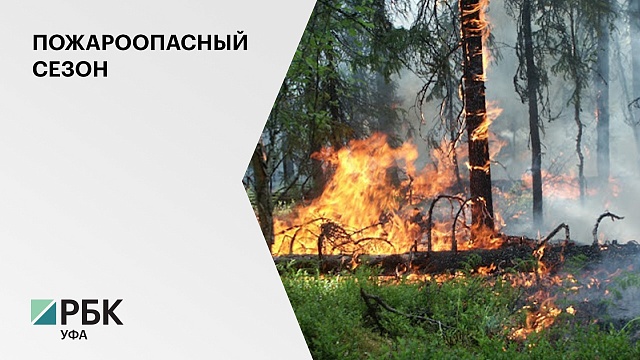 В Башкортостане зарегистрирован лесной пожар в Бурзянском районе на площади 2 га