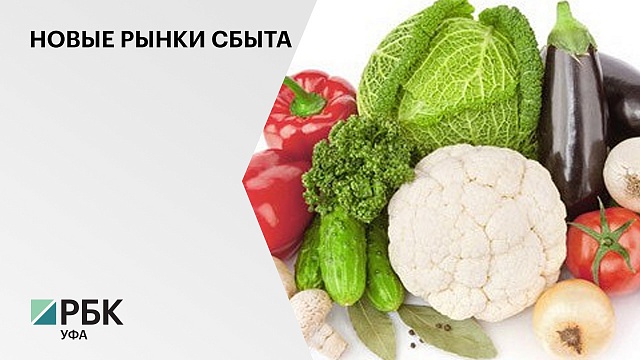 18 тонн овощей, произведенных в тепличных хозяйствах Буздякского района, поставили в Калининградскую область