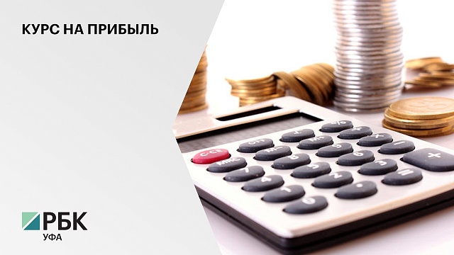 В Башкортостане доля убыточных предприятий сократилась на 28,7%