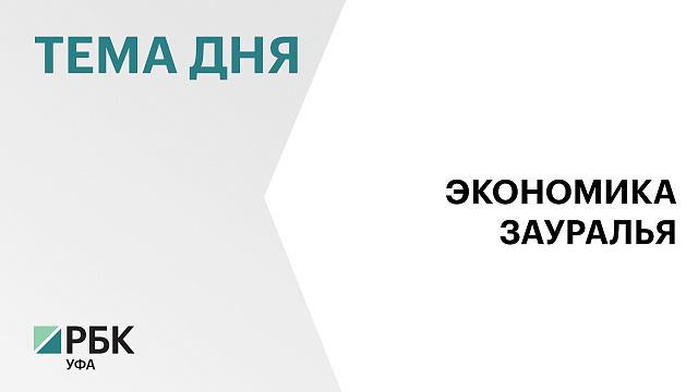 Предприятия Зауралья в 2025 г. отгрузили товаров собственного производства на ₽185 млрд