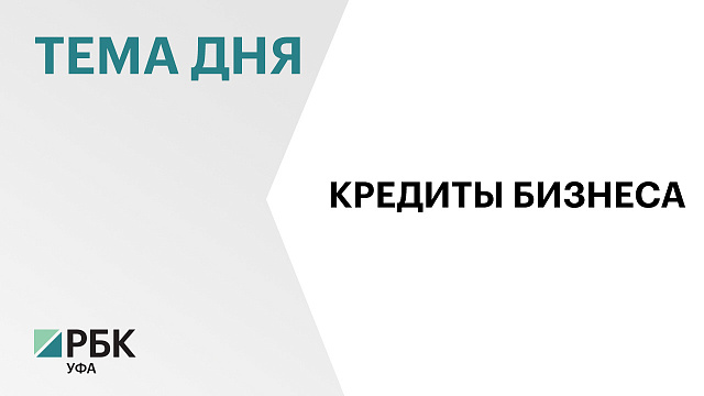 Объём кредитования малого бизнеса в Башкортостане снизился за год на 14%