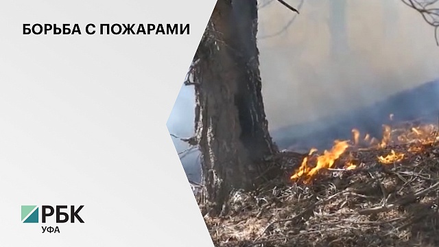 В Башкортостане спасатели борются с 26 природными пожарами