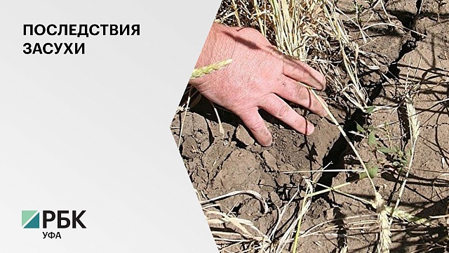 В Минсельхозе Башкортостана заработал штаб по минимизации последствий засухи