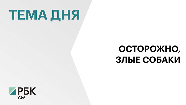 Собак потенциально опасных пород предлагают признать источником повышенной опасности
