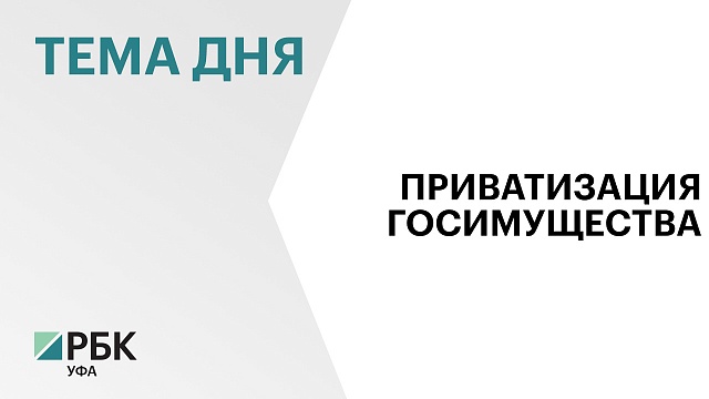 В результате продажи госимущества в 2024 г. в бюджет региона поступило ₽51,9 млн доходов 