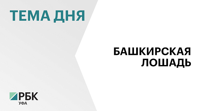 В Башкортостане дали старт научно-просветительскому проекту "Геном башкирской лошади"
