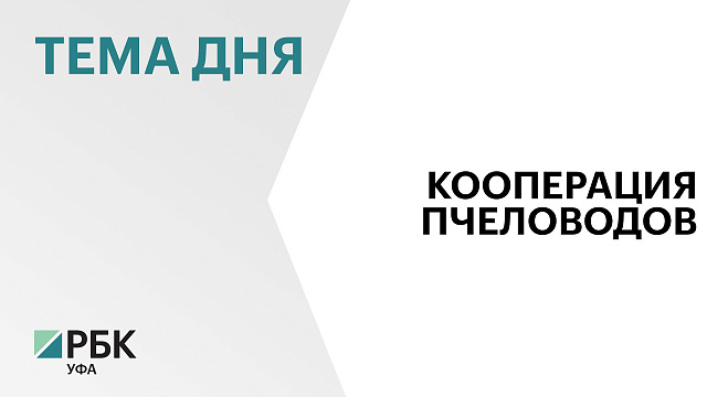 В Башкортостане насчитывается 20 пчеловодческих коопераций